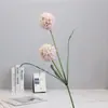 Decoração de janela com bola de dente-de-leão