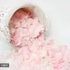 Quarto de Casamento Confissão de Noivado Decoração Romântica Suprimentos Rosa de Casamento Pétalas Vermelhas Falsas de Tecido para Espalhar