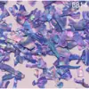 Madrepérola Laca Peças Finas de Concha de Abalone Nail Art Mosaico Pintura em Laca Peças de Madrepérola Material DIY Laca Incrustada Leidezhu