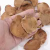 Cáscara de fruto de jacaranda azul natural materiales creativos de bricolaje para colgantes de bolsa, adornos, sonajeros y terapia de ruido blanco