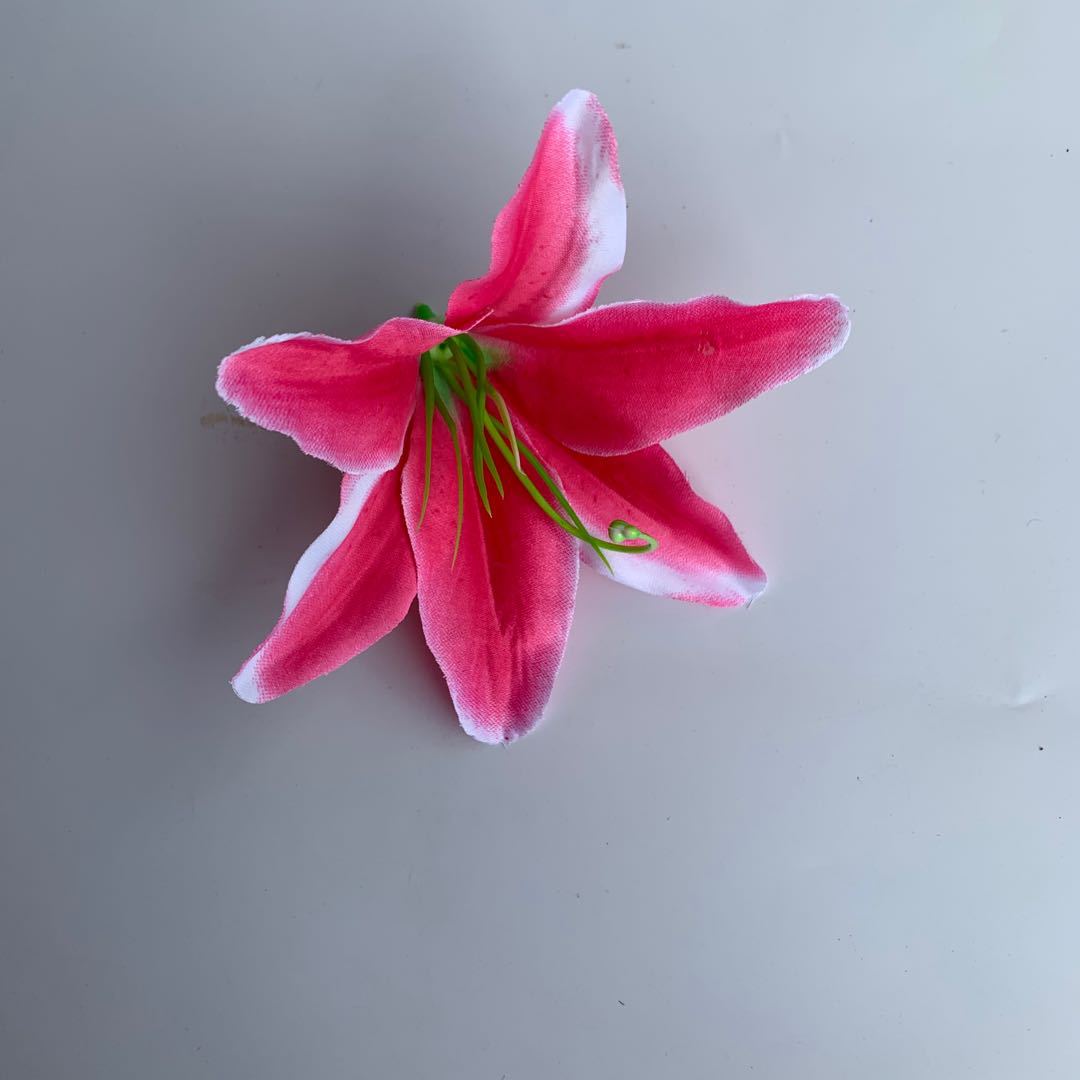 微信图片_202005081046057