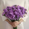 Buquê de Flores Secas de Miosótis e Gipsofila de Yunnan, Flores Reais para Arranjos Florais, Decoração de Sala de Estar, Atacado da Fábrica Floral