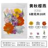 Flores secas y especímenes de plantas de flores marco de fotos repujado a mano marcapáginas lámpara de escritorio pegamento nail art suministro transfronterizo venta al por mayor 18 piezas