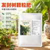 Fertilizante especial para árvores da sorte, fertilizante orgânico, fertilizante para flores, plantas de interior em vasos, promove floração, folhas verde-oliva, fertilizante granular de liberação lenta