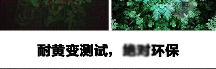 普亮夜光2-修改