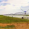 Fornecimento de Exportação de Máquinas de Irrigação por Aspersão Tipo Ponteiro, Equipamentos de Irrigação para Campos em Larga Escala, Máquinas de Irrigação com Eixo Central, Equipamentos Inteligentes de Irrigação por Aspersão