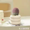 Plantas suculentas, plantas pequeñas de interior en maceta, cactus de mesa para sala de estar, plantas verdes, flores de vivero, fáciles de cuidar durante todo el año