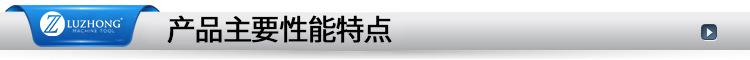 主要性能特点