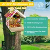 Nido de Pájaro de Madera Puede Ser DIY Material para Casa de Pájaros Set Puede Ser Colgado Nido de Pájaro Pequeño Decorativo Pájaro Alimentador Hecho a Mano Nido de Pájaro