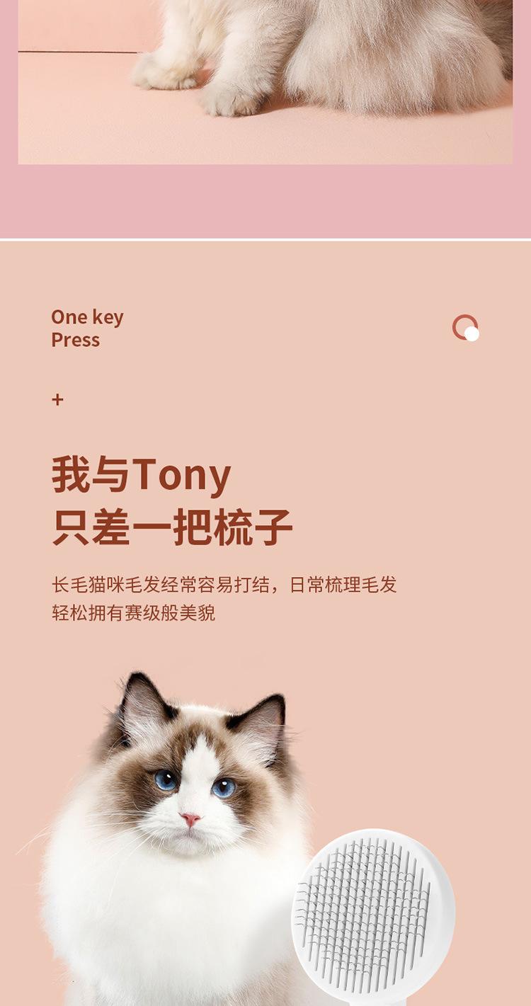 宠物梳毛梳_12.jpg