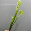 Hierba de Botella Simulada Planta Verde Jaula de Cerdos Pegamento Suave Venta al por Mayor Oro de Mil Capas Boda Arreglo Floral de Boda Material de Flor Decorativa Abanico de Tule