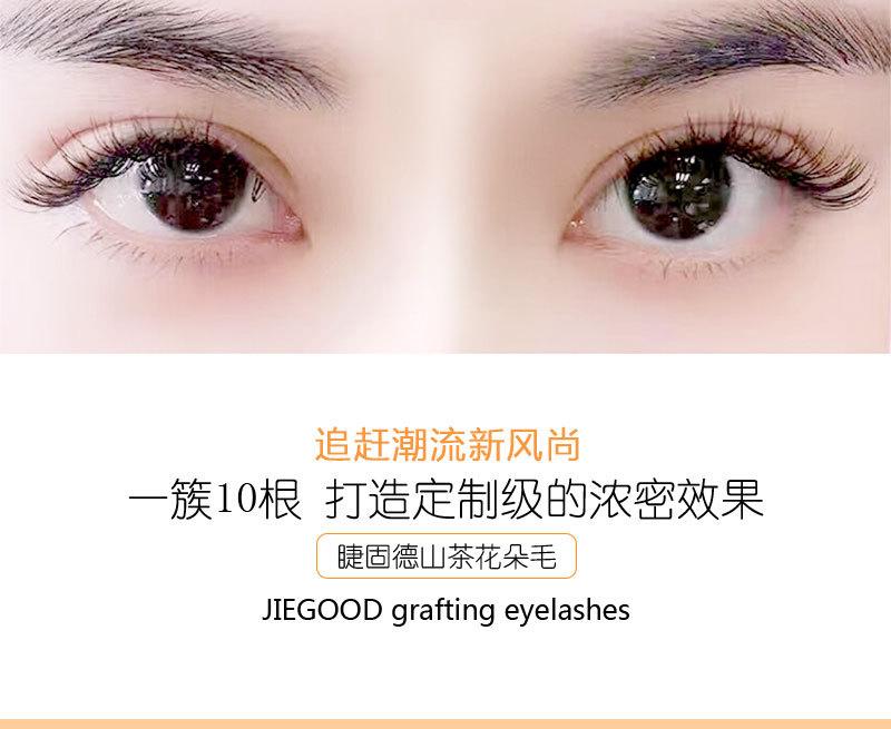 山茶花朵毛-(2)_01