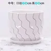 Maceta de Cerámica Tamaño Grande Oferta Especial Liquidación Interior Escritorio Balcón Suculenta Maceta Pequeña Clorofito Helecho Espárrago Maceta Simple Blanca