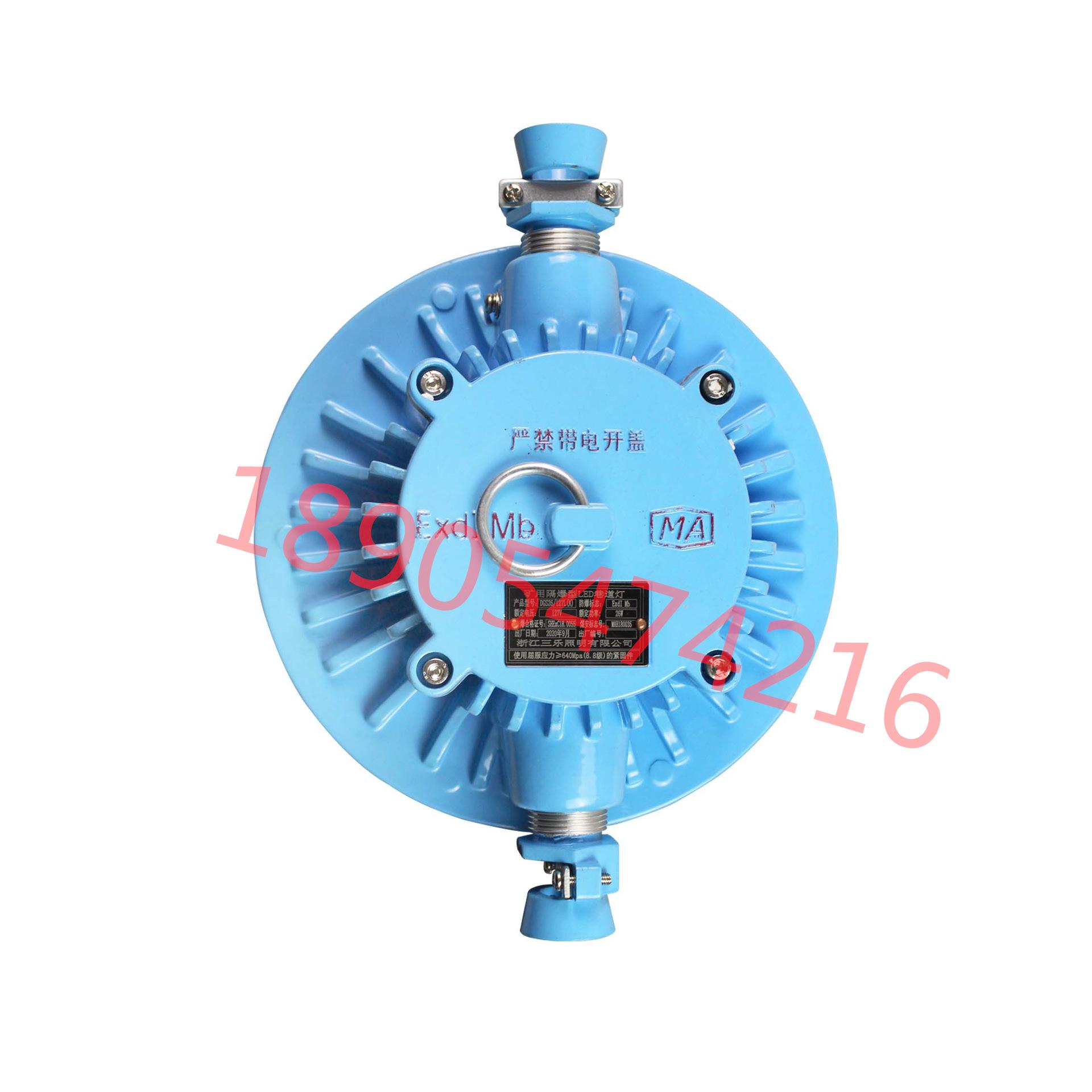 DGS26-127L(A)矿用隔爆型LED巷道灯 (1)