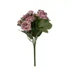 Al por mayor Nuevo Transfronterizo 10 Cabezas Rosas Pequeñas de Champaña, Flores Artificiales para Año Nuevo, Decoración de Arreglo Floral, Accesorios de Fotografía