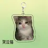 Llavero Acrílico Mini-Teatro de Memes de Gatos, Lindo y Divertido, Colgante Decorativo para Mochila, Regalo para Amigos