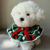 Set de Collar Navideño para Mascotas 2026 - Bandana Reversible para Perro y Gato con Pajarita, Babero Impermeable, Accesorio Festivo Navideño