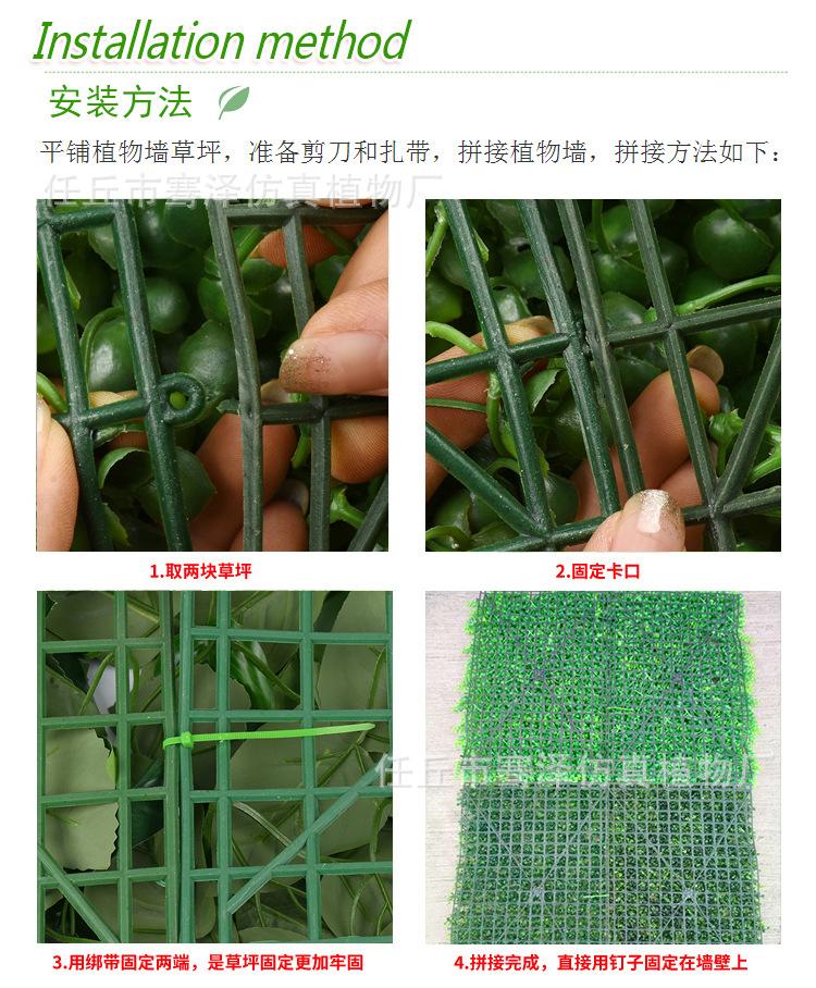 小植物新上_02