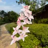 Orquídeas Phalaenopsis de 9 hastes para decoração de casamento, enfeites decorativos para sala de estar, arranjos florais, parede de flores, arranjos para o corredor da sala de casamentos