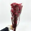 Flores Eternas, Flores de Milho, Atacado Fabricante de Yunnan, Flores Eternas, Buquês de Flores Secas Atacado, Acessórios para Buquês de Casa