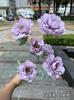 Flores blancas de simulación para boda al por mayor 6 cabezas hibisco rosa té peonía peonía boda hotel decoración del hogar flores falsas