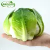 Adereços de vegetais de simulação modelo de vegetal de simulação folhas de alface falsas brócolis repolho adereços de supermercado frutas e vegetais crianças