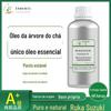 Fabricante de Óleo Essencial de Melaleuca Matérias-Primas Atacado Óleo de Melaleuca Natural Unilateral Cuidados com a Pele do Rosto Produtos Químicos de Uso Diário Aromaterapia Perfume Óleo Essencial