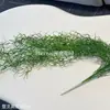 Hierba Aérea Estilo Bosque con Zarcillos Largos y Delicados, Vegetación Artificial para Paisajismo de Bodas, Decoración de Pasillos y Decoración de Pared
