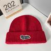 Chapéu de Lã com Etiqueta de Letra de Inverno para Mulheres Outono e Inverno Versátil Quente Chapéu Tricotado Japonês para Rosto Proteção de Orelha Pequena Chapéu Frio para Homens