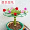 Estante de Girasol Estante Forma de Paleta Estante de Flor Anticaída Multicapa Poste de Soporte de Cactus Navideño Planta Trepadora Fijo