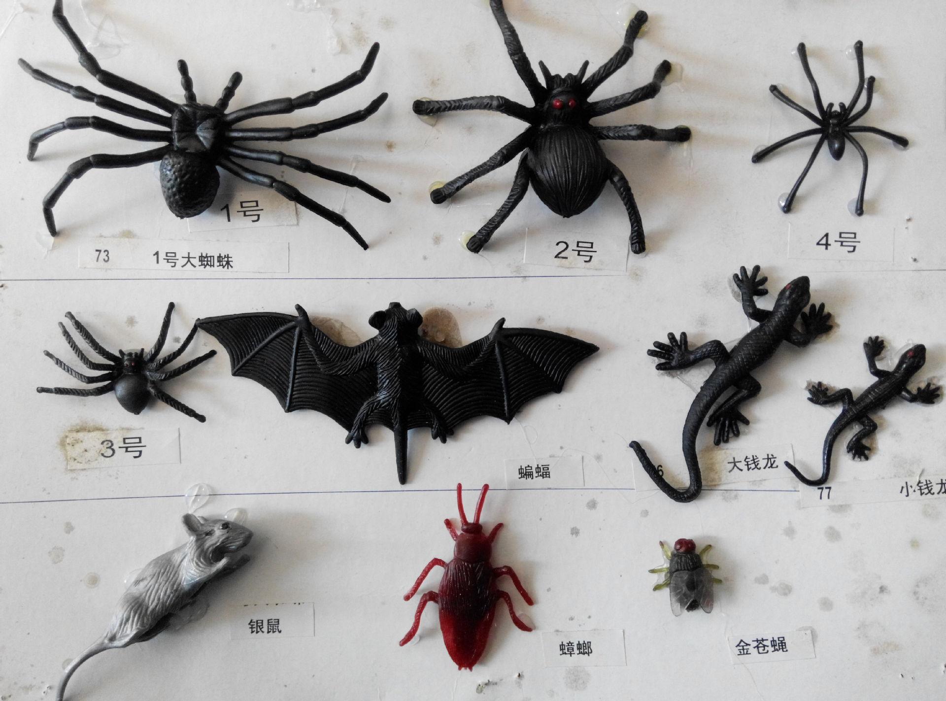 动物 (97).jpg