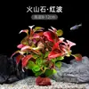 Plantas de Acuario, Decoraciones de Paisajismo con Césped Real, Plantas Aptas para Principiantes, Crisantemo Verde Ciempiés, Plantas de Sombra, Piedra Volcánica, Plantas Verdes Purificadoras de Agua