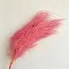 Atacado de Grama Eterna do Fabricante para Casamento e Decoração de Casa DIY Materiais Florais, Grama de Cabelo Longo para Flores de Arte Penduradas