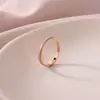 Anillo de Acero de Titanio de Lujo Ligero de Nicho No Desvanecible Tendencia Europea y Americana para Mujer, Anillo Sencillo de Oro Rosa para Pareja, Joyería, Accesorio de Moda