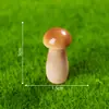 Micro Paisagem de Musgo Criativa Simulação Comida e Brincadeira Cogumelo Decorações DIY Acessórios para Pendurar Jardinagem Fazenda Ornamentos de Paisagismo