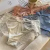 "Angel Wings" Pure Sexy Transparent Hollow Lace Underwear Feminino Cintura Média Algodão Virilha Viagem Feminina