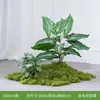 Simulação Combinação de Plantas Verdes Paisagismo Plantas Artificiais Musgo Biônico Canto Interno Sob a Escada Decoração Micro-Paisagem Pequenas Plantas em Vaso