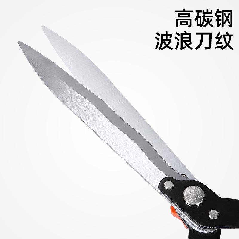主图3