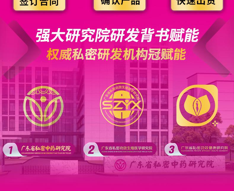 二类医疗器械模板_04.png