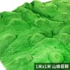 Simulação gramado de musgo verde paisagismo parede de plantas verdes micro paisagem artificial bonsai grama artificial musgo artificial pavimentação decorativa