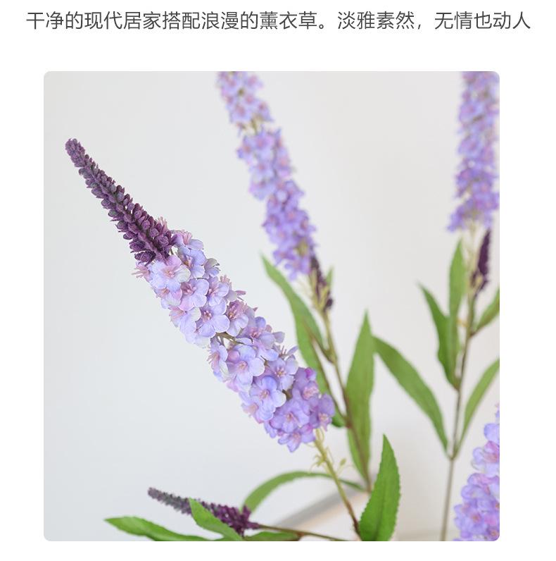 梵思单枝薰衣草_12.jpg