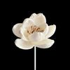 En stock al por mayor 3.5cm flor de loto pequeña flor ratán aromaterapia volátil flores secas flores decorativas chinas nuevas