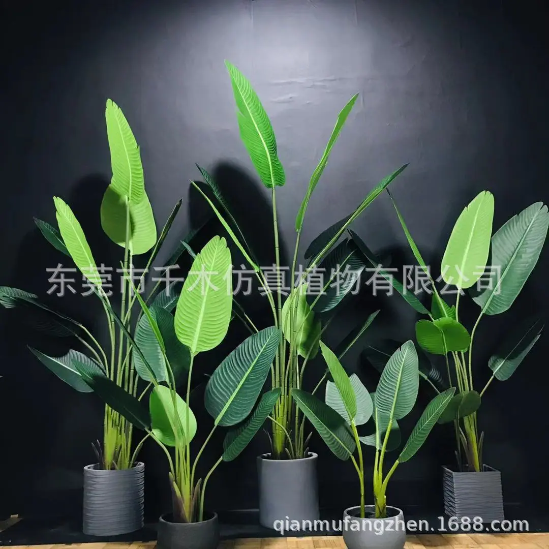微信图片_201908191945419