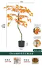 Plantas Verdes de Bordo Árvore Falsa de Bordo Vermelho Plantas em Vasos de Luxo Leve Decoração de Paisagismo para Sala de Estar de Casa Exibição de Janela Planta de Chão