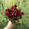 Buquê de flores secas de rosas pequenas flores secas rosa neon rosa bolha Origem Yunnan atacado