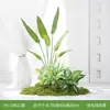 Simulação Plantas Verdes Paisagismo Plantas Artificiais Musgo Verde Musgo Verde Micro Paisagem Combinação Decoração de Interior Janela Corredor Exibição Decoração