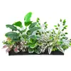 Serie E Maceta Decorativa de Flores Artificiales Verdes Decoración de Caja de Flores Canaleta de Flores para Exteriores Planta Simulada Combinación de Tira Larga Decoración de Valla