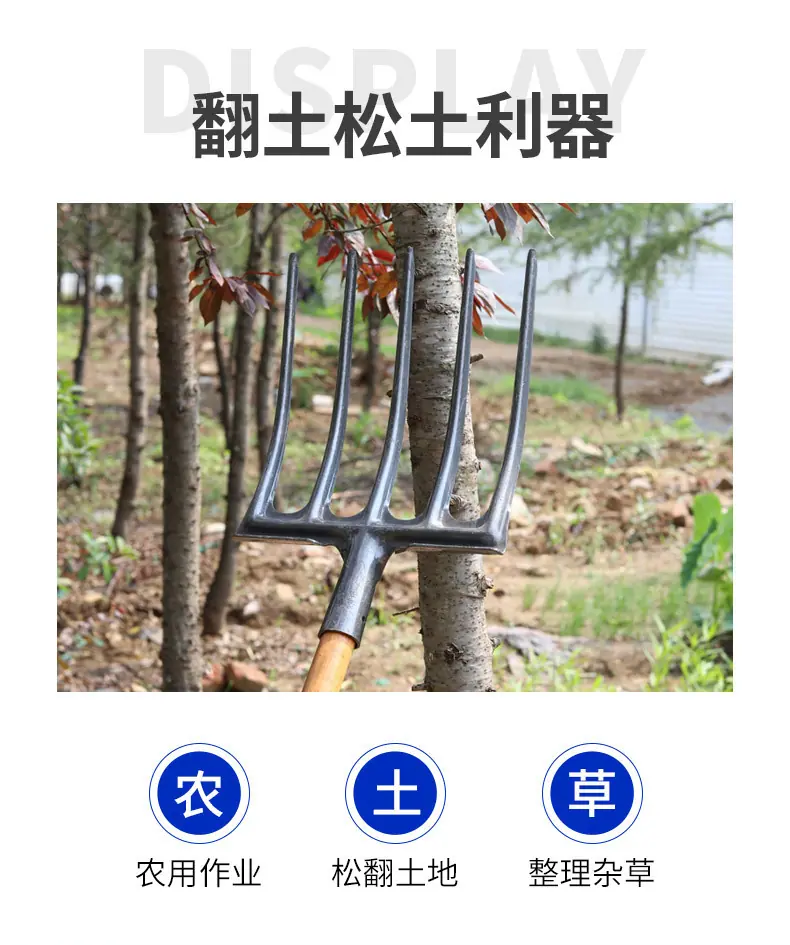 详情_03.jpg