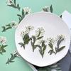 Spiraea con Ramas Flor Seca Estampada Narciso Gota de Pegamento Funda para Teléfono Móvil Marco de Fotos Pegatinas para Uñas Pintura Flor Deflector Espécimen de Planta