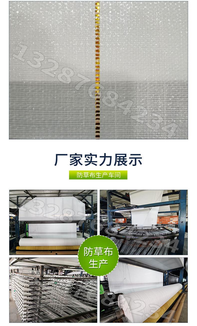 白色防草布_08